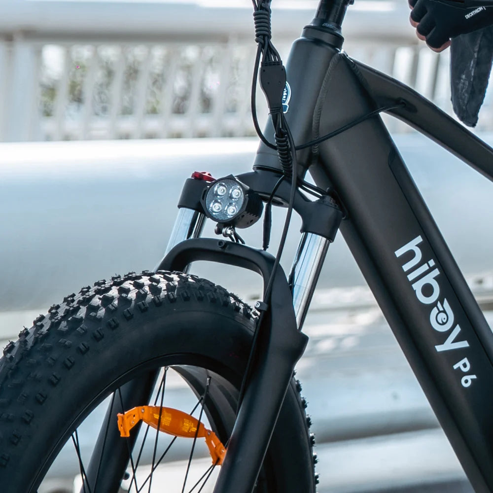 Hiboy P6 Motor