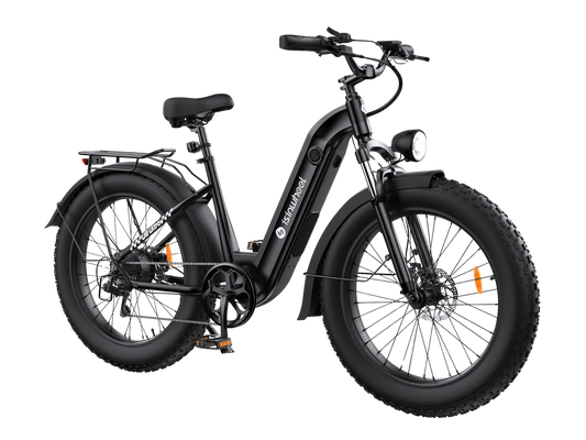 ISINWHEEL U8 Ultra Electric Bike