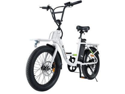 ISINWHEEL U7 1000W Cargo Bike