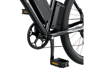 ISINWHEEL M10S 750W