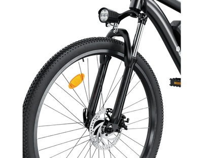ISINWHEEL M10S 750W