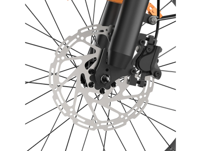 ISINWHEEL R6 Pro Dirt bike