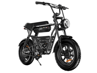 ISINWHEEL R6 Mini Ebike