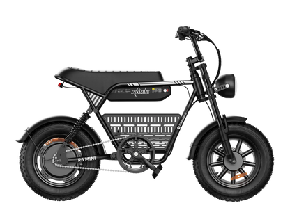 ISINWHEEL R6 Mini Ebike