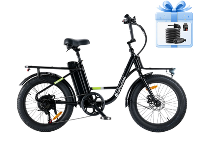 ISINWHEEL U7 1000W Cargo Bike
