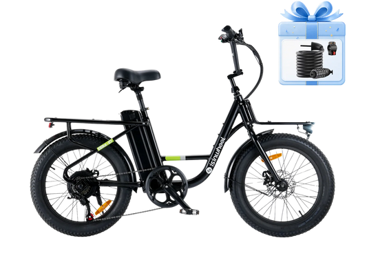 ISINWHEEL U7 1000W Cargo Bike