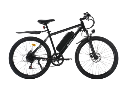ISINWHEEL M10S 750W
