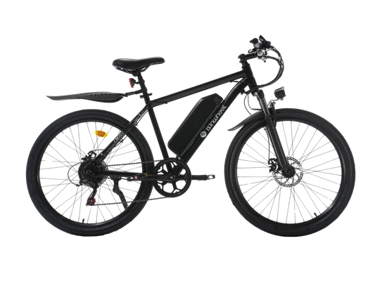 ISINWHEEL M10S 750W