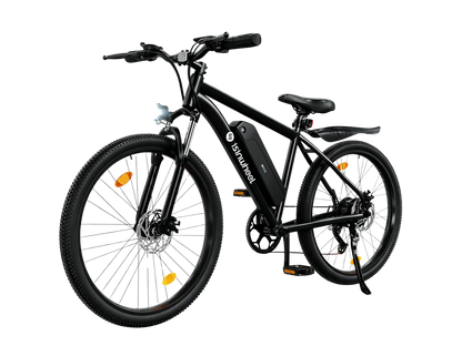 ISINWHEEL M10S 750W