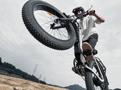 ISINWHEEL U8 Ultra Electric Bike