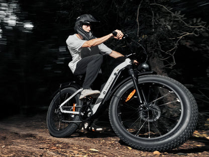 ISINWHEEL U8 Ultra Electric Bike