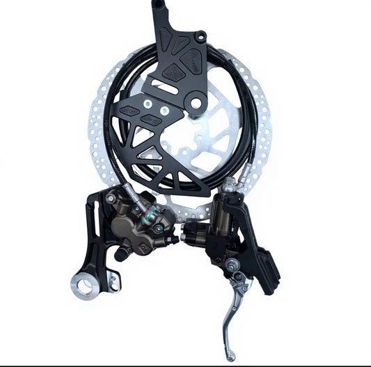 Ultra Bee Rear Brake Kit for 79 Bike